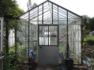 Moestuin groenten Moestuin groenten