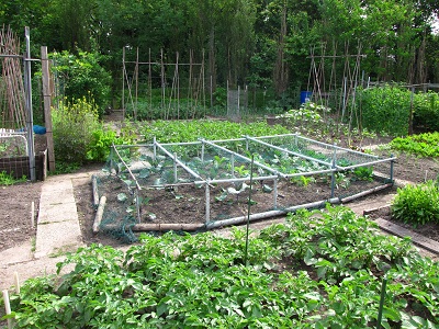 vruchtwisseling - diana's mooie moestuin