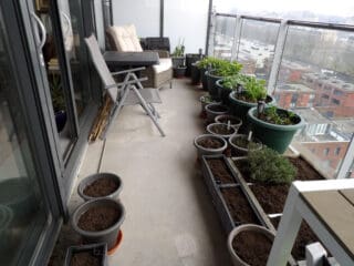 100_0033-kleiner