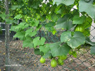 Afbeelding-van-WhatsApp-op-2025-10-15-om-14.45.36_0a0bc446