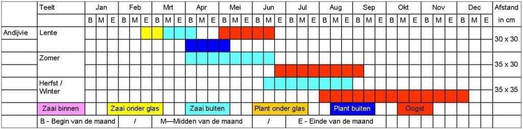 Andijvie tabel