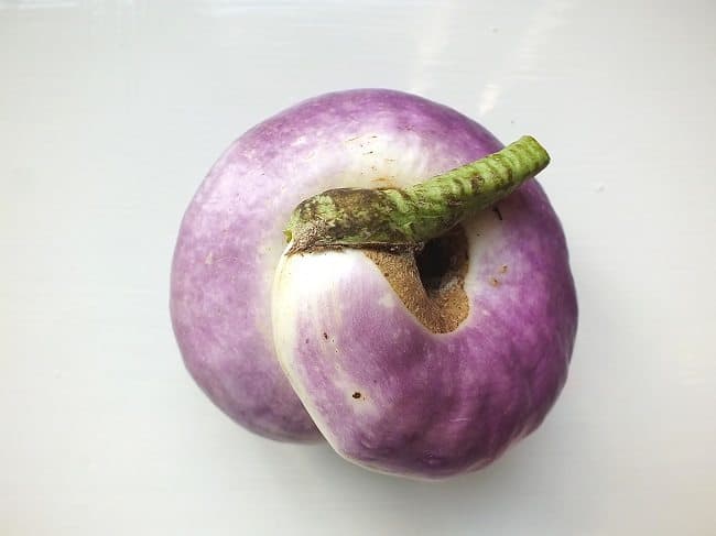 aubergine-japanese-pickling-opgerold