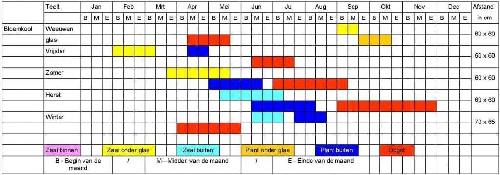 Bloemkool tabel