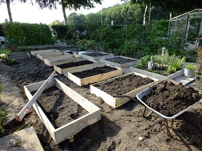 basketbal Kinderpaleis aankleden Meer bakken.... - Diana's mooie moestuin