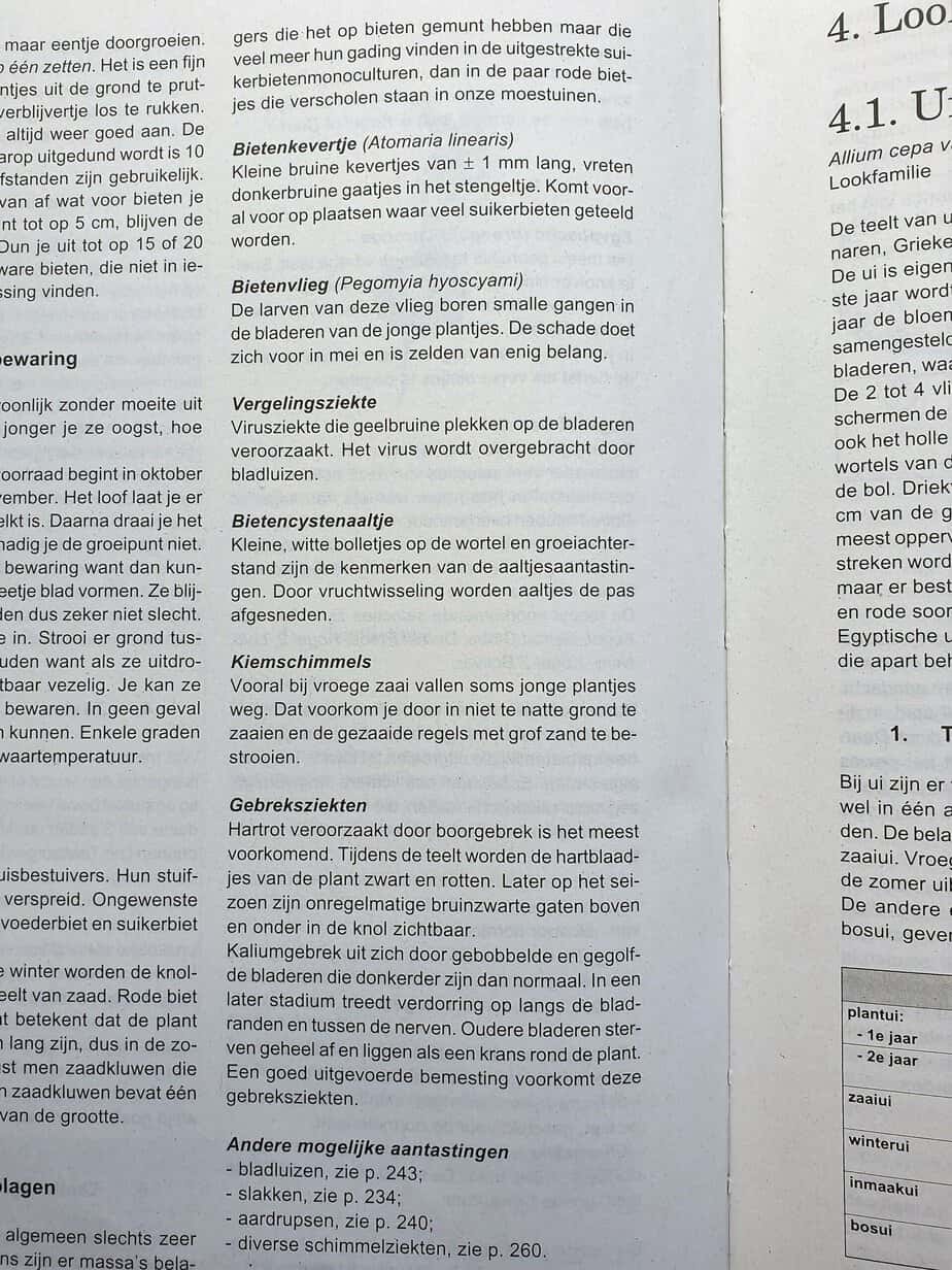 Mogelijke problemen met bieten