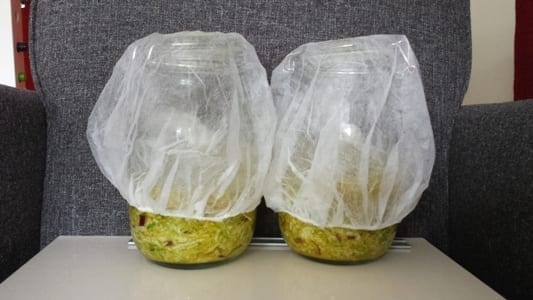 Gelabeld en vermeld wanneer de kool klaar is, en afgedekt tegen vliegjes, etc. In mijn geval met een ok-mutsje, maar kan ook prima met een schone zakdoek, vliesdoek, schone theedoek, etc. met elastiekje