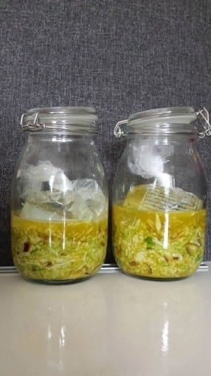De 2 potten met de kool en met de zakjes zout water die de kool inderdaad onder het vocht houden. Potten zijn zoals je ziet niet helemaal afgesloten