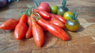 IMG_20230729_103014024