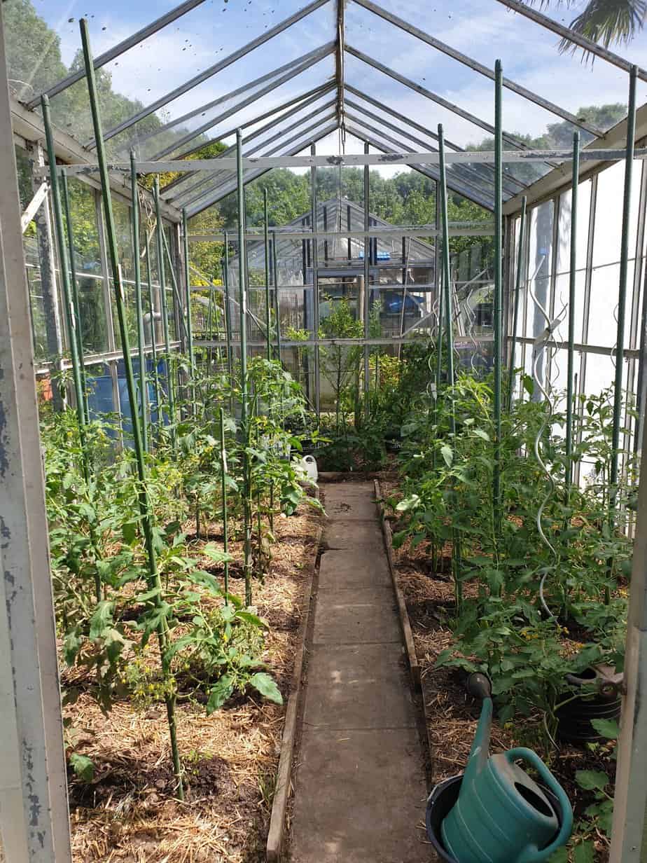 kas 2 planten