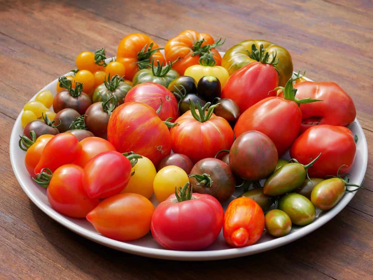 De lekkerste tomaat ter wereld