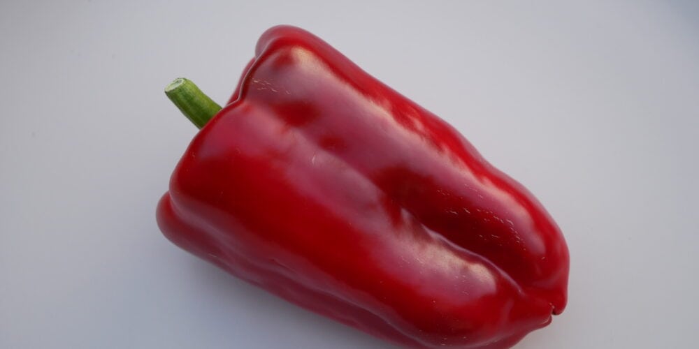 Red Giant Diana's mooie moestuin