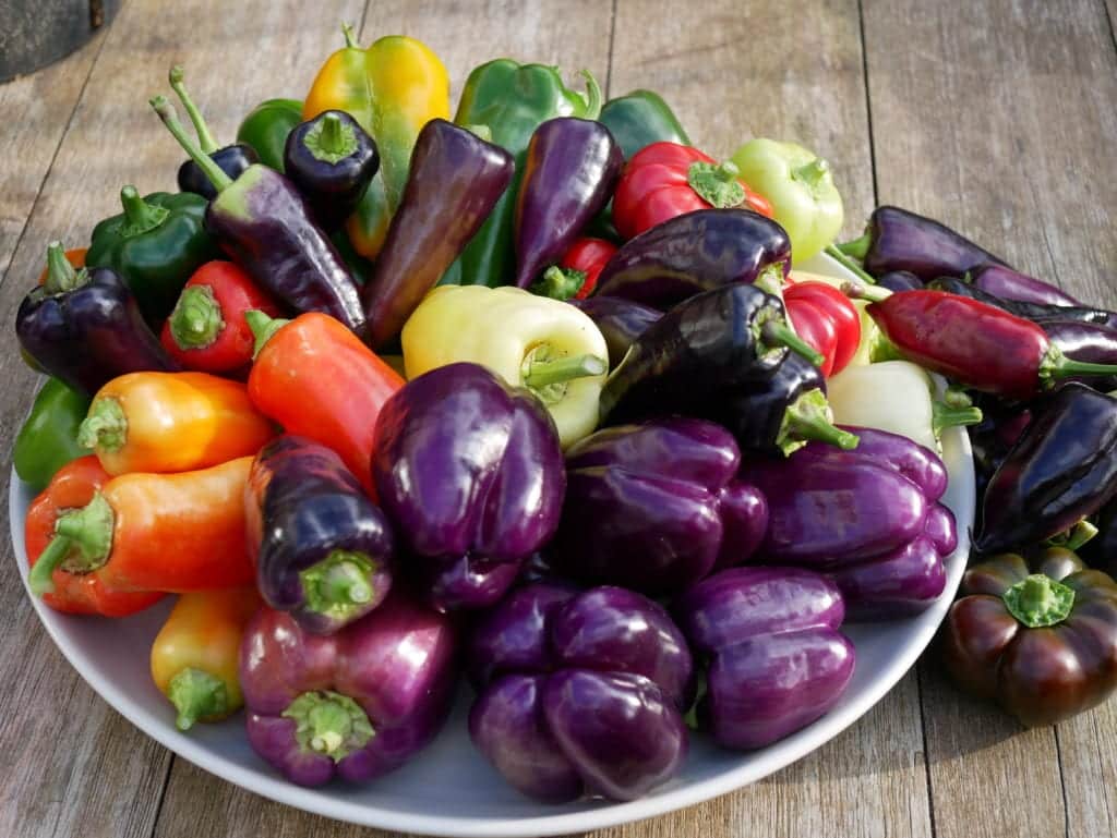 Chutney van uien en paprika Diana's mooie moestuin