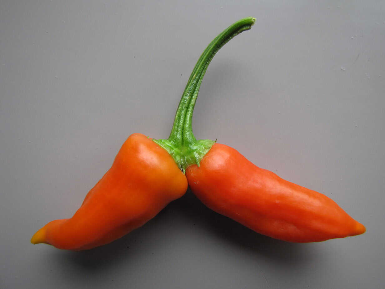 Peper Dong Xuan Market tweeling