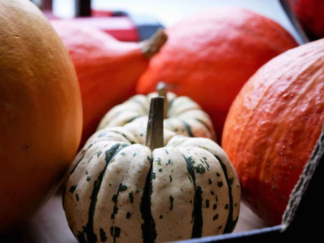 Oogsten En Bewaren Diana S Mooie Moestuin