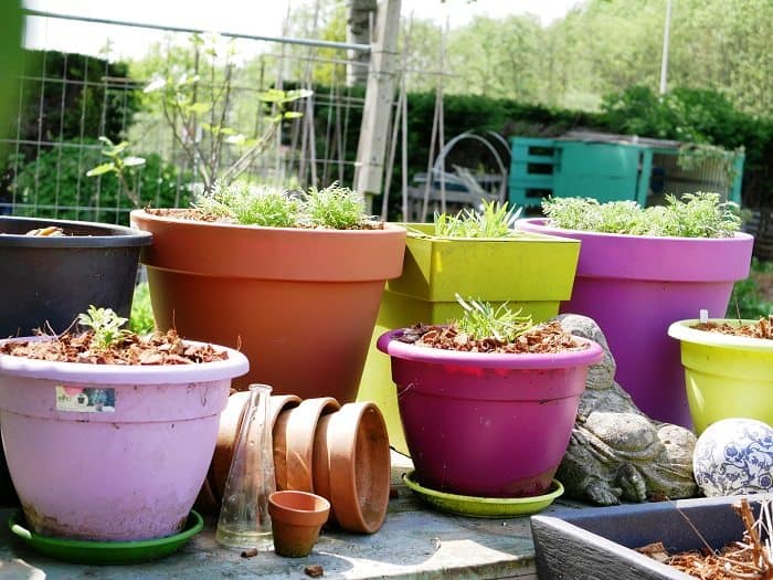 Tuinieren in Potten - Diana's moestuin