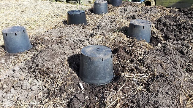 Potten over planten bij nachtvorst