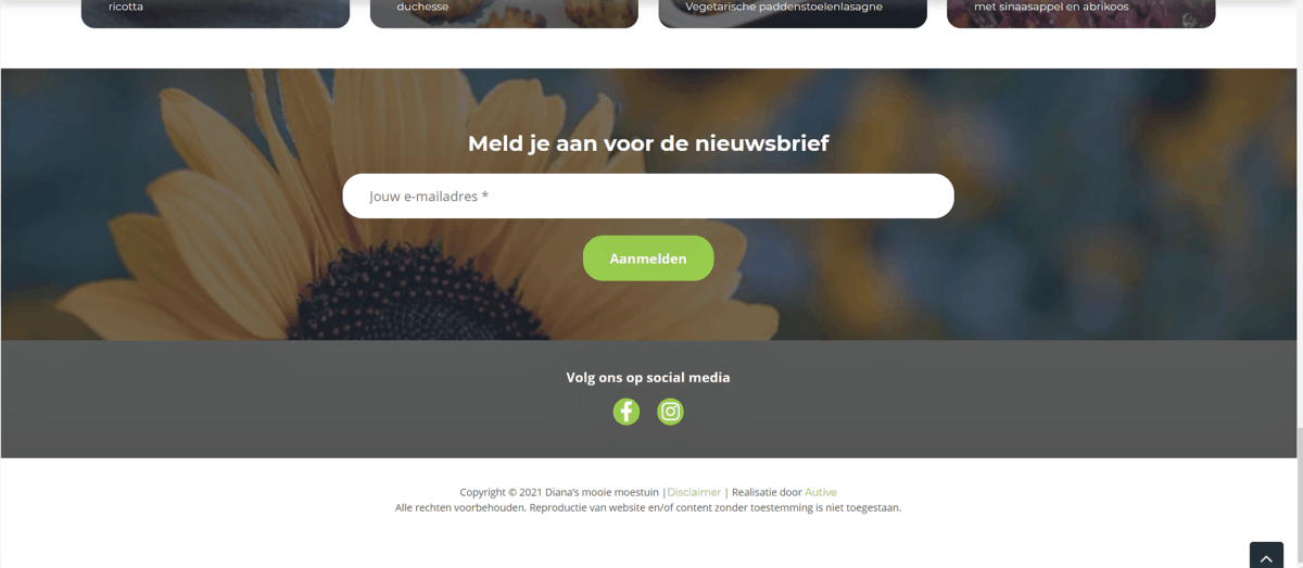 Schermopname aanmelden nieuwsbrief