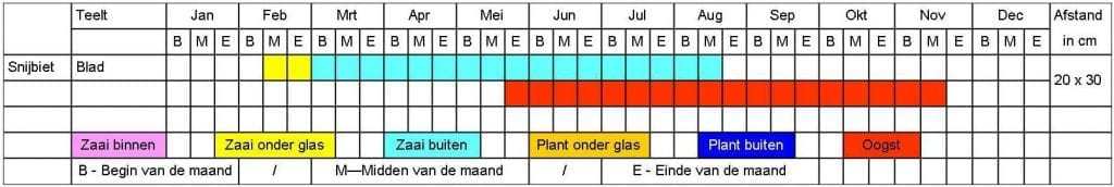 Snijbiet tabel