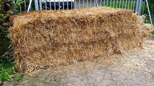 Centimeter Gooi Schaken Stro en stro en stro en stro - Diana's mooie moestuin