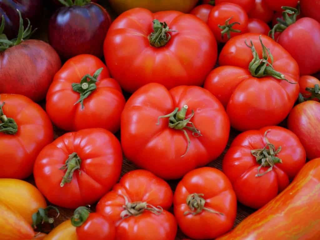 Alpatjevskij - Diana's mooie moestuin