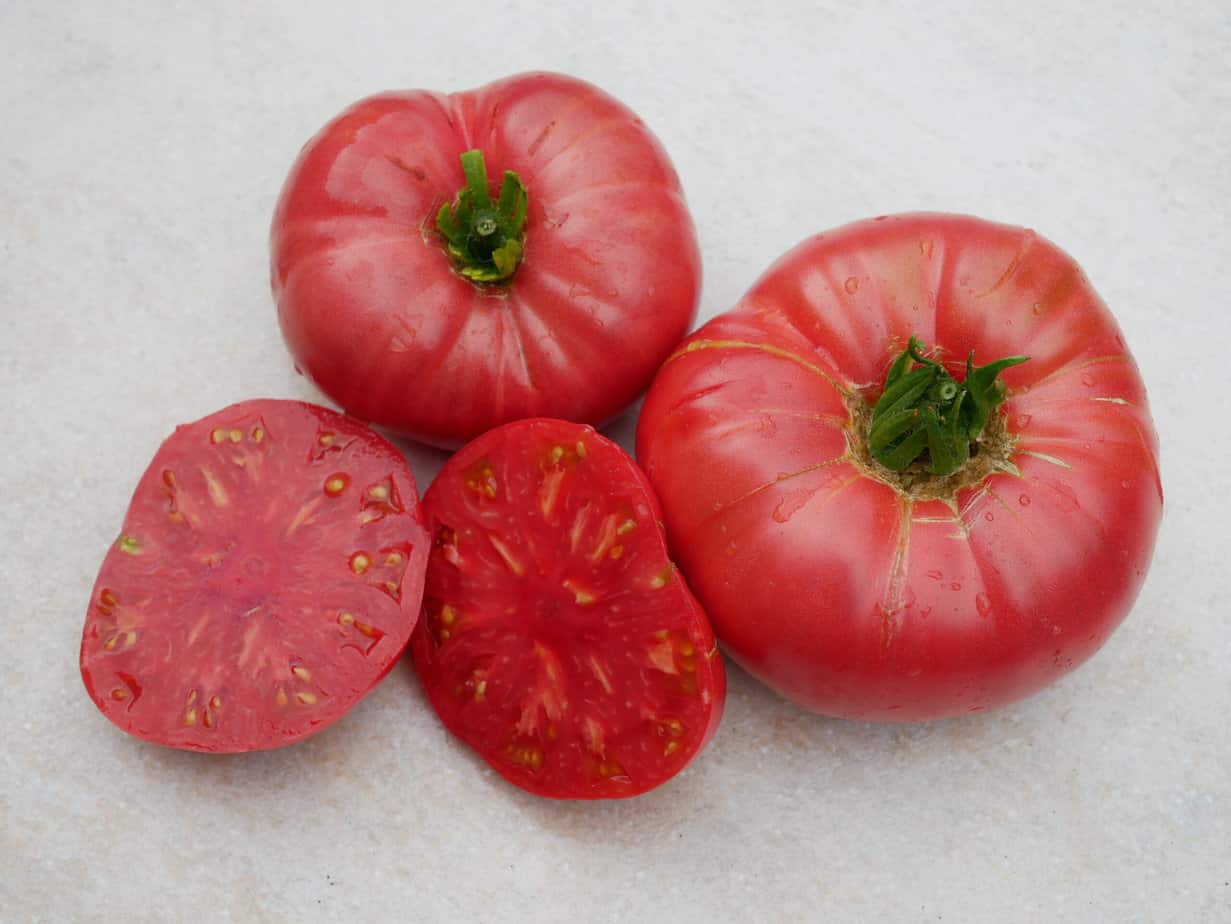 Brandywine Tomato (Sudduth's Strain)