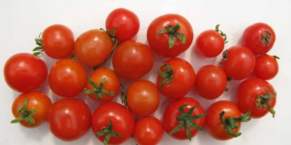 Minibel - Diana's mooie moestuin
