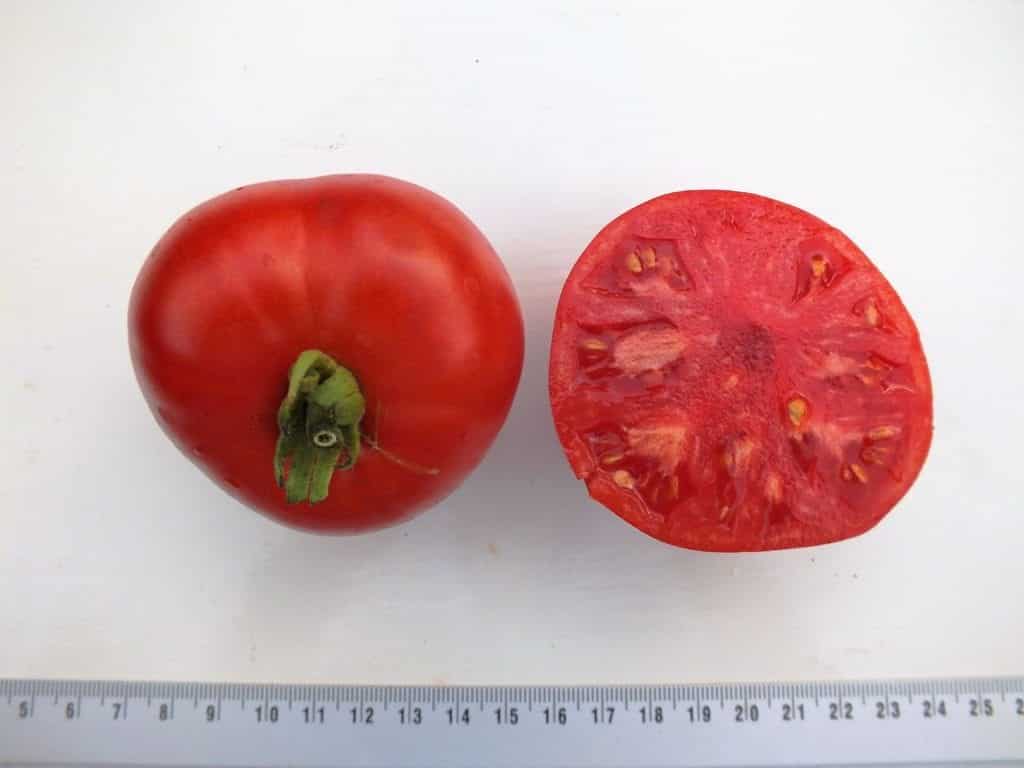 Moskvich - Diana's mooie moestuin