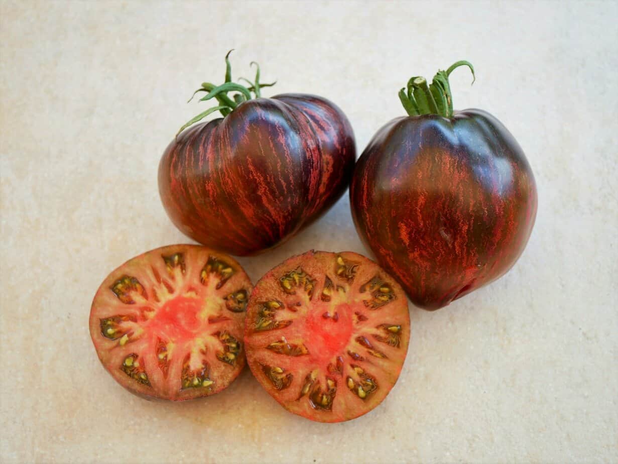 De lekkerste tomaat ter wereld - Diana’s mooie moestuin