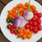Aubergine Wild Boar - Afbeelding 4