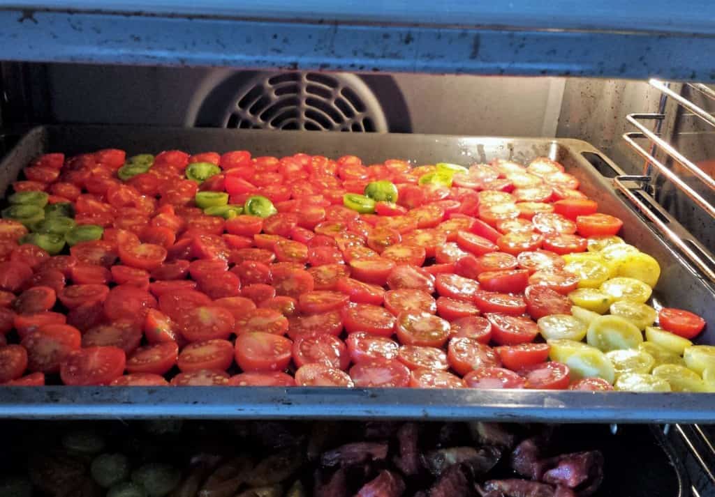 Drogen in de dehydrator Diana's mooie moestuin