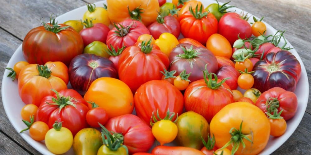 Gelei van tomaten en gember - Diana's mooie moestuin