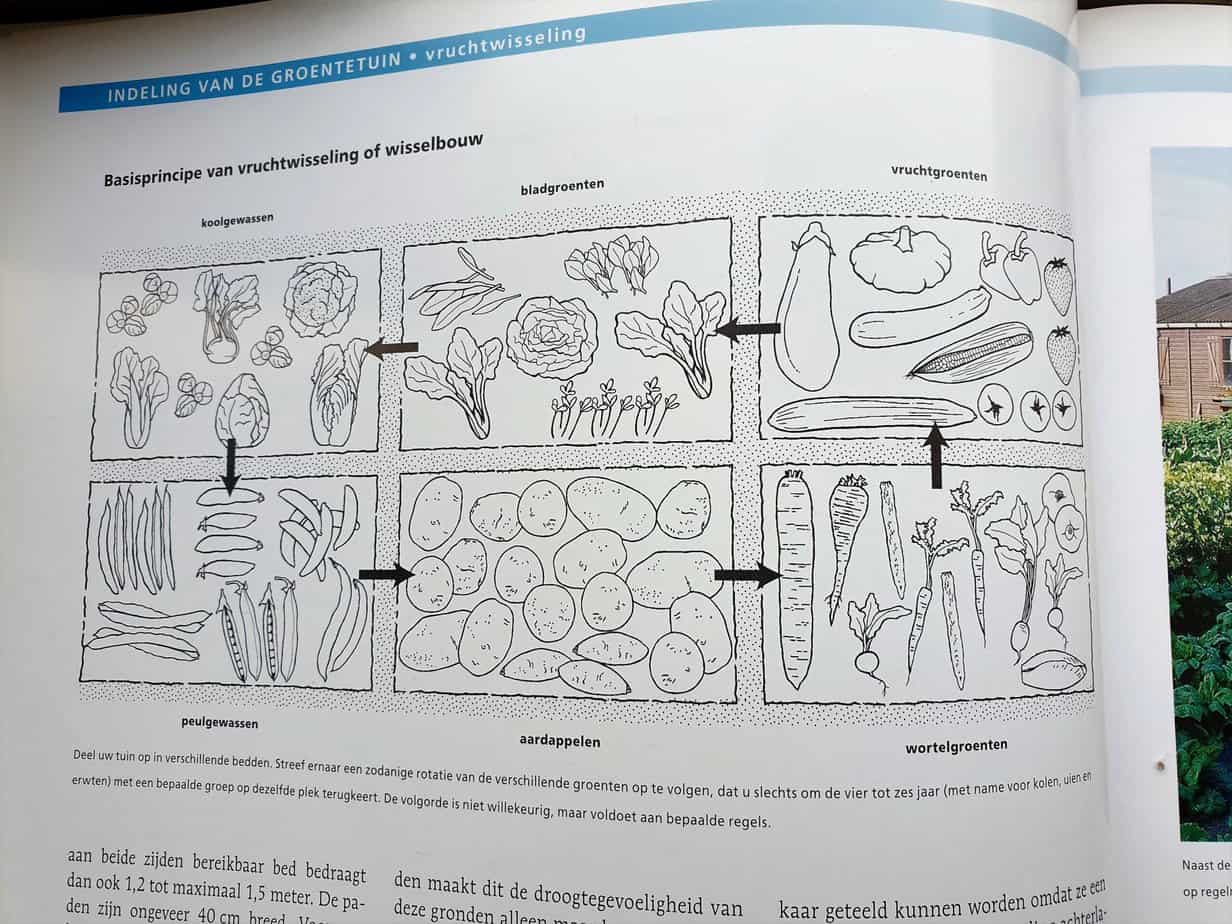 Vruchtwisseling G&F tekening