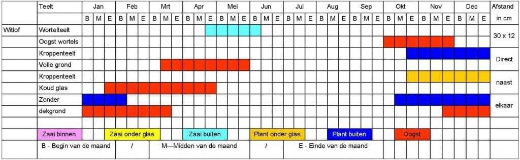 Witlof tabel
