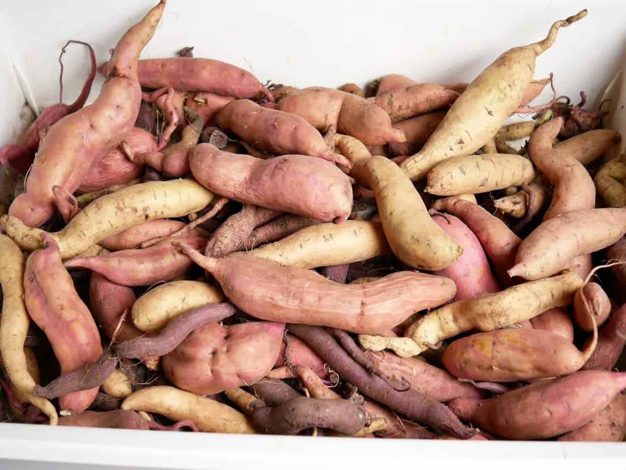 Zoete aardappelen