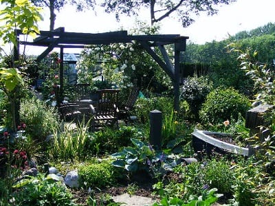 de nieuwe tuin 2007