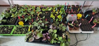moestuin-binnen-Small
